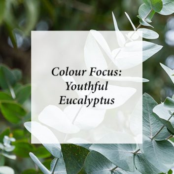 Colour Focus: Youthful Eucalyptus thumbnail