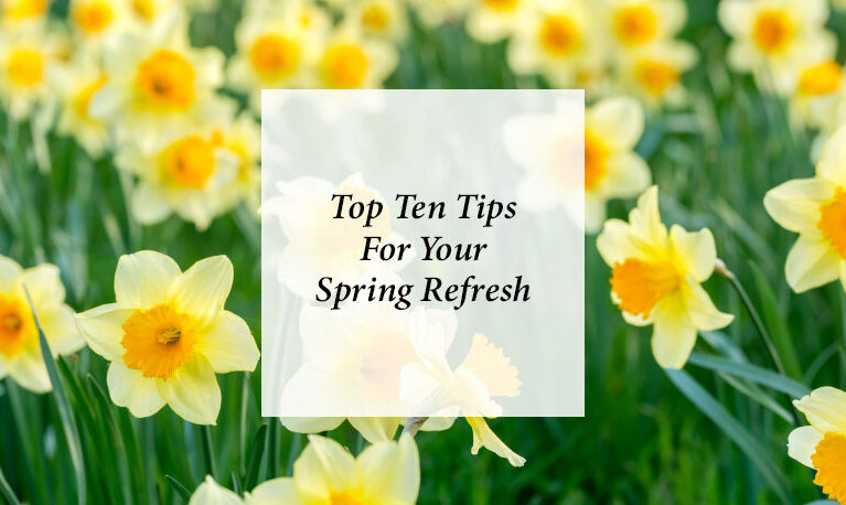 Top Ten Tips For Your Spring Refresh