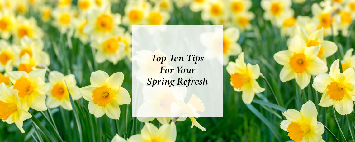 Top Ten Tips For Your Spring Refresh